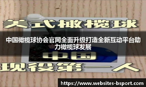 中国橄榄球协会官网全面升级打造全新互动平台助力橄榄球发展